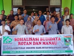 DPW IKATIP Sumbar Dorong KANINDO Bantu Pengembangan Rotan dan Manau untuk Produk Ekspor