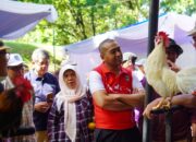 Lomba Ayam Kokok Balenggek Meriahkan Dies Natalis Faterna Ke-61