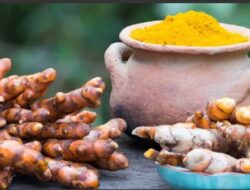 Temulawak, Warisan Berharga Indonesia yang Mendunia