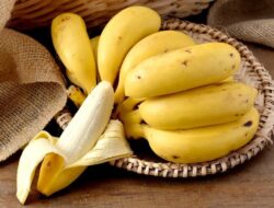 Kenali Manfaat Buah Pisang, Sangat Baik untuk Kesehatan Tubuh