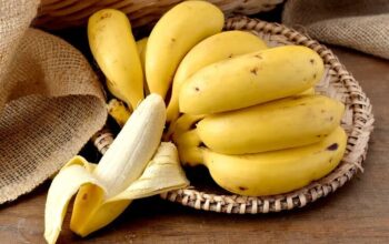 Kenali Manfaat Buah Pisang, Sangat Baik untuk Kesehatan Tubuh