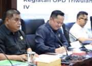 Kawal Pelaksanaan Proyek Strategis Daerah, Agar Selesai Tepat Waktu