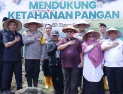 Dukung Program Ketahanan Pangan Lokal Lewat Penanaman Jagung Manis