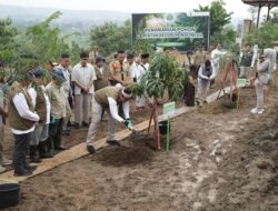 Pulihkan Lahan Kritis, Kurangi Risiko Bencana Hidrometeorologi