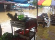 Pemprov Riau Ajukan Bantuan Penanggulangan Banjir ke Pemerintah Pusat
