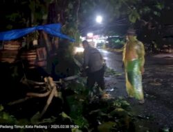 Cuaca Buruk dan Hujan Lebat Disertai Angin Kencang, Pohon Tumbang