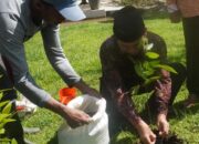 Momentum Hari Bumi, Tanam Pohon Matoa di 10 Lokasi Strategis