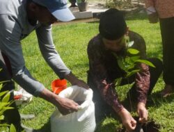 Momentum Hari Bumi, Tanam Pohon Matoa di 10 Lokasi Strategis