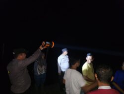 Mencari Ikan di Sungai Rokan, Nelayan Tewas Diterkam Buaya