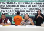 Diduga Jual Lahan dalam Kawasan Konservasi TNTN, Tokoh Masyarakat Ditangkap