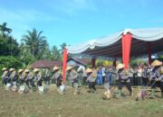 Dukung Program Swasembada Jagung Lewat Penanaman Serentak