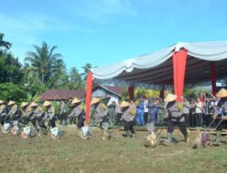 Dukung Program Swasembada Jagung Lewat Penanaman Serentak
