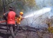 Potensi Ancaman Meluas Akibat Cuaca Ekstrem, Status Siaga Darurat Karhutla Diberlakukan