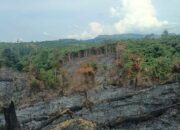 Teknologi DLK Bantu Polisi Tangkap Pelaku Pembakaran Lahan 1 Hektare di Inhu