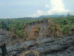 Teknologi DLK Bantu Polisi Tangkap Pelaku Pembakaran Lahan 1 Hektare di Inhu