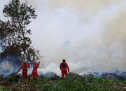 BNPB : Segera Tetapkan Status Tanggap Darurat Karhutla di Riau