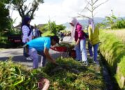 Program Papatim Kasih Bergulir, Kelurahan Ekor Lubuk Bersih-bersih