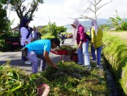 Program Papatim Kasih Bergulir, Kelurahan Ekor Lubuk Bersih-bersih