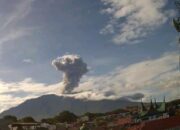 Gunung Marapi kembali Erupsi, Kolom Abu Capai 500 Meter