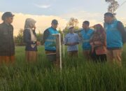 Dukung Peningkatan Ekonomi Pelaku UMKM dan Pertanian di Sumbar