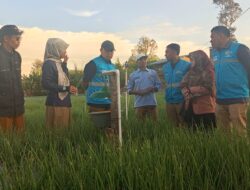 Dukung Peningkatan Ekonomi Pelaku UMKM dan Pertanian di Sumbar