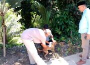 Waspada Rabies, Kasus Gigitan Anjing Liar Mengancam Warga Padang Pariaman