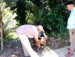 Waspada Rabies, Kasus Gigitan Anjing Liar Mengancam Warga Padang Pariaman