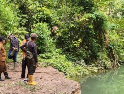 Longsor Tutup Sungai di Ngarai Sianok, Munculkan Genangan Besar Mirip Bendungan Alami