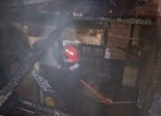 Kebakaran Hebat Landa Talawi, Satu Rumah dan Kandang Ayam Hangus Terbakar