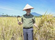 Membangun Citra Positif Petani untuk Mewujudkan Generasi Emas Sumatera Barat