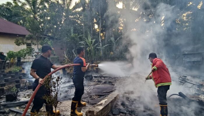 Tiga Hari Terakhir, Tiga Kebakaran Terjadi di Kabupaten Agam