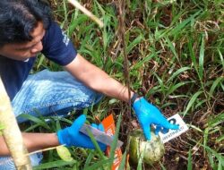 Warga Agam Heboh, Tengkorak Manusia Ditemukan di Ladang Terpencil