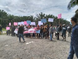 Konflik Plasma Sawit di Pessel Memanas, Warga Blokir Akses ke PT Incasi Raya Group