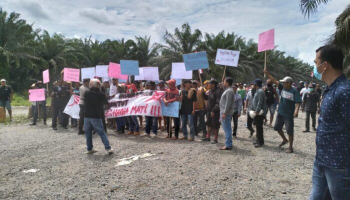 Konflik Plasma Sawit di Pessel Memanas, Warga Blokir Akses ke PT Incasi Raya Group