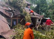 Puluhan Pohon Tumbang, Rusak 10 Rumah dan Sejumlah Fasilitas Umum