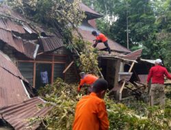 Puluhan Pohon Tumbang, Rusak 10 Rumah dan Sejumlah Fasilitas Umum