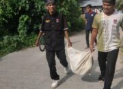 Diduga Terinfeksi Rabies, Seekor Anjing Gigit Warga dan Unggas