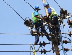 PT PLN (Persero) Buka Kesempatan Berkarir Besar-besaran, Mulai D3 hingga S2