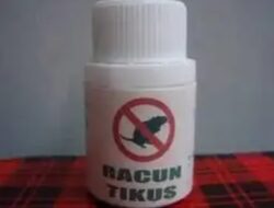 Diduga Dihina Mantan Pacar, Warga Lubuk Alung Nekat Minum Racun Tikus