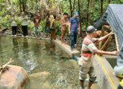 Nagari Bawan Perluas Akses Air Bersih untuk Warga, Atasi Krisis Air