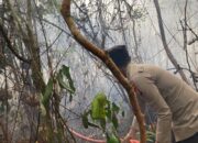 Kebakaran Lahan Nyaris Jangkau Permukiman, 32 Personel Diturunkan