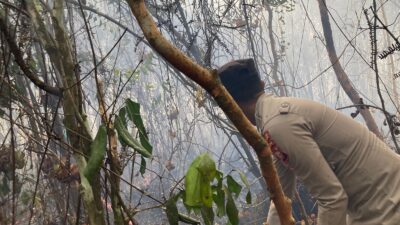 Kebakaran Lahan Nyaris Jangkau Permukiman, 32 Personel Diturunkan