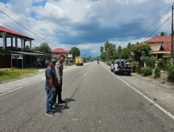 Tabrak Truk Boks Jenis Mitsubishi Colt Diesel, Mahasiswi Tewas di Tempat