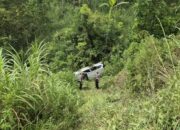 Minibus Terjun ke Jurang, Pengemudi dan Penumpang Selamat