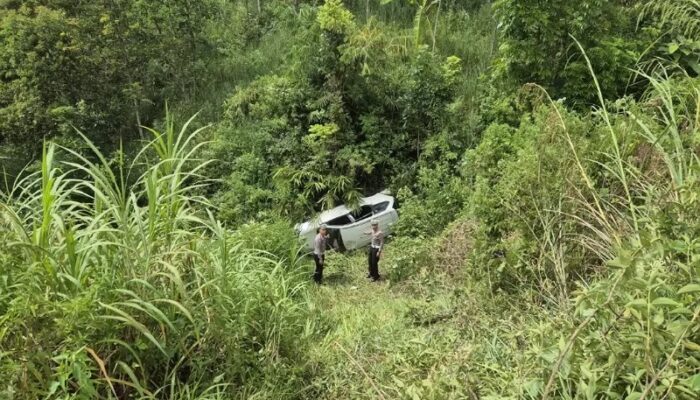 Minibus Terjun ke Jurang, Pengemudi dan Penumpang Selamat