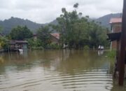 Ratusan Rumah Warga di Korong Kasai Direndam Banjir