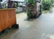 Disapu Banjir, Sebagian Ikan Milik Pokwasmas Dusun Baru Hanyut
