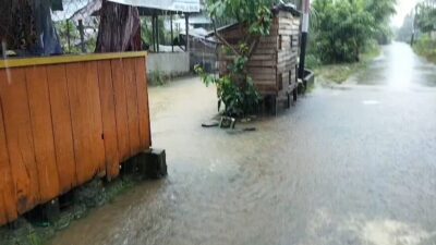 Disapu Banjir, Sebagian Ikan Milik Pokwasmas Dusun Baru Hanyut
