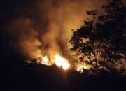 15 Hektare Perkebunan Sawit dan Gambir di Pangkalan, Hangus Terbakar