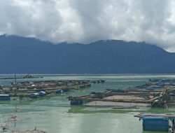 252 Ton Ikan Mati, Kerugian Sementara Tembus Rp 12,28 Miliar